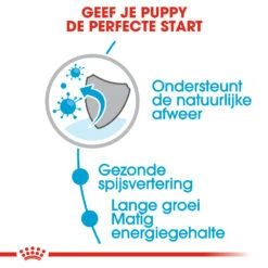 Royal Canin Maxi Puppy - Hondenvoer -Hondenbenodigdheden Winkel 0ckkQrFnTykLkx6hYtliZPwmjCZ1c4 metaUm95YWwtQ2FuaW4tTWF4aS1QdXBweV8wNC5qcGc