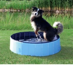Trixie Dog Pool 18 Trixie Dog Pool -Hondenbenodigdheden Winkel 0fd4ce56464af1b7d48a1b50ecd6a6dc2140966c9be9a6012e70984c9ee347c7 3