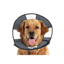 ZenPet Zen Collar -Hondenbenodigdheden Winkel 42632697f58b74687d0cc6e5667726aaa48c9d32d79572e899c774c0d12960b9 3