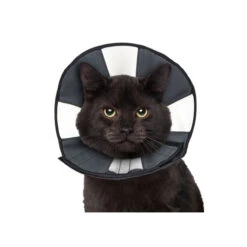 ZenPet Zen Collar -Hondenbenodigdheden Winkel 5fa3157a14f70df4dd8f78f7dfb875f7f1cb86091b42f76f641d5ca739d2fc19 3