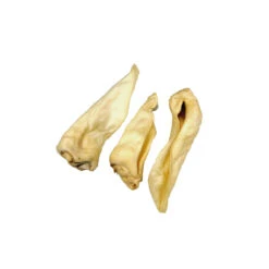 Competition Geitenoren Adult 7 Competition Geitenoren Adult -Hondenbenodigdheden Winkel 739152c17d3f9a966001e738d8accc97158ed8f8e8828c83c2652bad537110c2 3 5