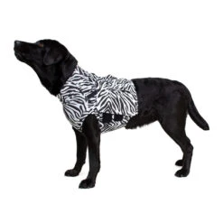 Medical Pet Top Shirt - Zebraprint 17 Medical Pet Top Shirt - Zebraprint -Hondenbenodigdheden Winkel 7dbb977aeaee5358bdbb75a2726d86afedc883c6c5c256190d52b3230b638369 3