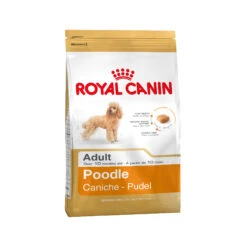 Royal Canin Poodle Adult - Hondenvoer 21 Royal Canin Poodle Adult - Hondenvoer -Hondenbenodigdheden Winkel 8be5652df0dee1c7d4b55dd9d519c425b679ba5c37d3650b04f131172a49a4a2 4