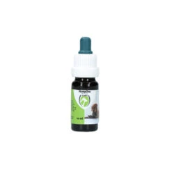 Excellent HempOne Hond En Kat -Hondenbenodigdheden Winkel 8c48708c2fa86d5401958ddfe107c50aa7f6d03024de90cfaf796de9f6a32a84 4