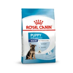 Royal Canin Maxi Puppy - Hondenvoer -Hondenbenodigdheden Winkel 8xDSLFx7P6zxe0opZUqunGFR81bbid metaUm95YWwtQ2FuaW4tTWF4aS1QdXBweV8wMi5qcGc