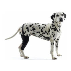 Kruuse Rehab Kniebeschermer -Hondenbenodigdheden Winkel 9d9a74cb8d729bb487c5dba1171f1d184097accaf2536a54c49a74a7f7a3e7e6 3