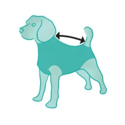 Suitical Recovery Suit Hond - Camouflage -Hondenbenodigdheden Winkel ILtF02kyXAnbRr88QvQ12b6rufTPVq metacHJvZHVjdF9yZWNvdmVyeV9zdWl0X2hvbmRfbWVkcGV0c180XzE0MTQ1NjgzNTZfOTA2OS5qcGc