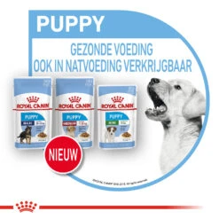 Royal Canin Maxi Puppy - Hondenvoer -Hondenbenodigdheden Winkel Odfb8WfMAX67bNDZG9ejzmg41qrR7d metaUm95YWwtQ2FuaW4tTWF4aS1QdXBweV8wOC5qcGc