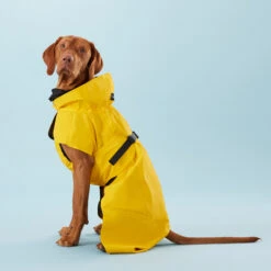 PAIKKA Visibility Raincoat Lite Yellow -Hondenbenodigdheden Winkel PClMHEr7OU9sOGs5uS5yRaglBqAzmp metaUGFpa2thLVZpc2liaWxpdHktUmFpbmNvYXQtTGl0ZS1ZZWxsb3czLmpwZw