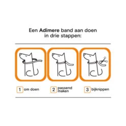 Adimere - Vlooienband 13 Adimere - Vlooienband -Hondenbenodigdheden Winkel RzYZ43T9ujZs84WuEMzNjwOcFgA8jn metaYWRpbWVyZV9fdmxvb2llbmJhbmRfMjIwODIxXzA1MDBfbm9uZS5qcGc