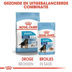 Royal Canin Maxi Puppy - Hondenvoer -Hondenbenodigdheden Winkel Z1AeXJdIlmV6P2zIVjIloKIQ7VQo00 metaUm95YWwtQ2FuaW4tTWF4aS1QdXBweV8wNi5qcGc