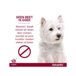 Advantix -Hondenbenodigdheden Winkel advantix 174187 0500 none