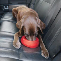 Kurgo Splash Free Wander Water Bowl -Hondenbenodigdheden Winkel altranet splash free wander water bowl 222778 0500 none