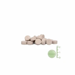 AniForte Plus Maag & Darm Tabletten -Hondenbenodigdheden Winkel aniforte plus maag darm tabletten 220960 0500 none