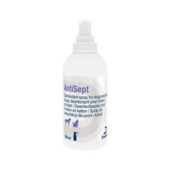 DECHRA AntiSept Desinfectiespray -Hondenbenodigdheden Winkel antisept desinfectiespray 134446 0500 none