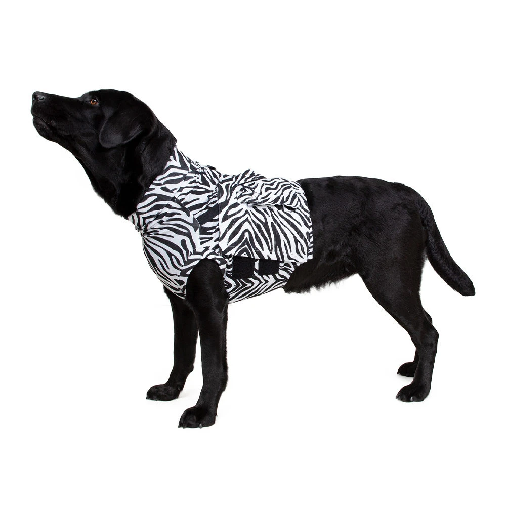 Medical Pet Top Shirt - Zebraprint 13 Medical Pet Top Shirt - Zebraprint - Afbeelding 11