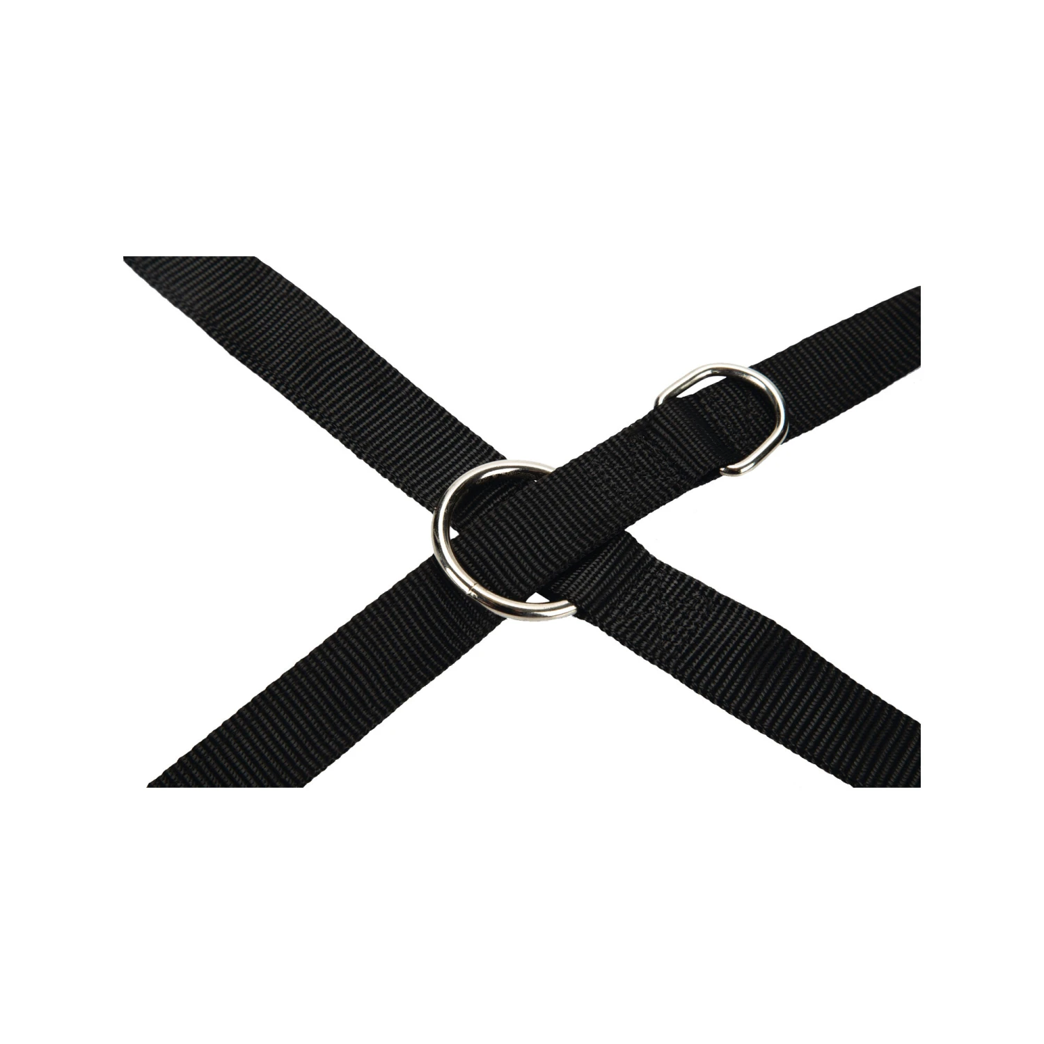 Beeztees Dressuurlijn 5 Beeztees Dressuurlijn - Afbeelding 3