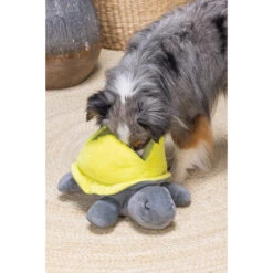 Beeztees Hide And Seek Schildo -Hondenbenodigdheden Winkel beeztees hide and seek schildo 221788 2000 none