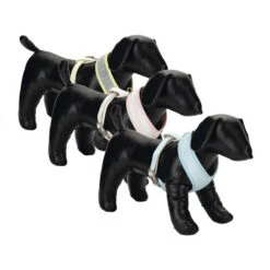 Beeztees Hondentuig -Hondenbenodigdheden Winkel beeztees hondentuig 110062 0500 none