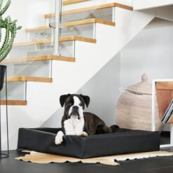 Bia Kunstleer Hoes -Hondenbenodigdheden Winkel bia kunstleer hoes taupe 164125 0500 none