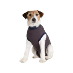 Jacketz Medical Body Suit Hond -Hondenbenodigdheden Winkel c7856f19127699bd56f2ee9957a8ec2923a7a606044f545364000377f1745578 3