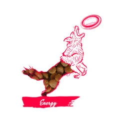 Calibra Dog Expert Nutrition Energy 13 Calibra Dog Expert Nutrition Energy -Hondenbenodigdheden Winkel calibra expert nutrition energy hundefutter huhn reis 1