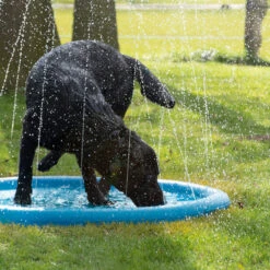 CoolPets Splash Pool Sproeier -Hondenbenodigdheden Winkel coolpets splash pool sproeier 174286 1000 none