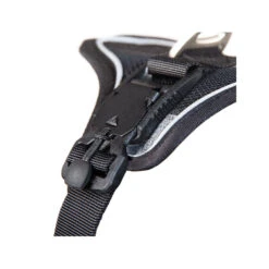 Curli Magnetic Belka Comfort Harness -Hondenbenodigdheden Winkel curli magnetic belka comfort harness 219392 2000 none