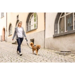 Curli Magnetic Belka Comfort Harness -Hondenbenodigdheden Winkel curli magnetic belka comfort harness 219394 2000 none