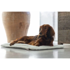 Designed By Lotte Benchkussen Gisel 23 Designed By Lotte Benchkussen Gisel -Hondenbenodigdheden Winkel designed by lotte benchkussen gisel 221516 1000 none