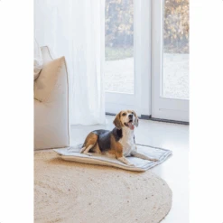 Designed By Lotte Benchkussen Gisel 22 Designed By Lotte Benchkussen Gisel -Hondenbenodigdheden Winkel designed by lotte benchkussen gisel 221517 1500 none