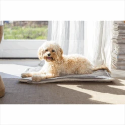 Designed By Lotte Benchkussen Gisel 21 Designed By Lotte Benchkussen Gisel -Hondenbenodigdheden Winkel designed by lotte benchkussen gisel 221518 1500 none