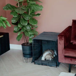 District 70 Crate Bench Hoes -Hondenbenodigdheden Winkel district 70 crate cover 191152 0500 none