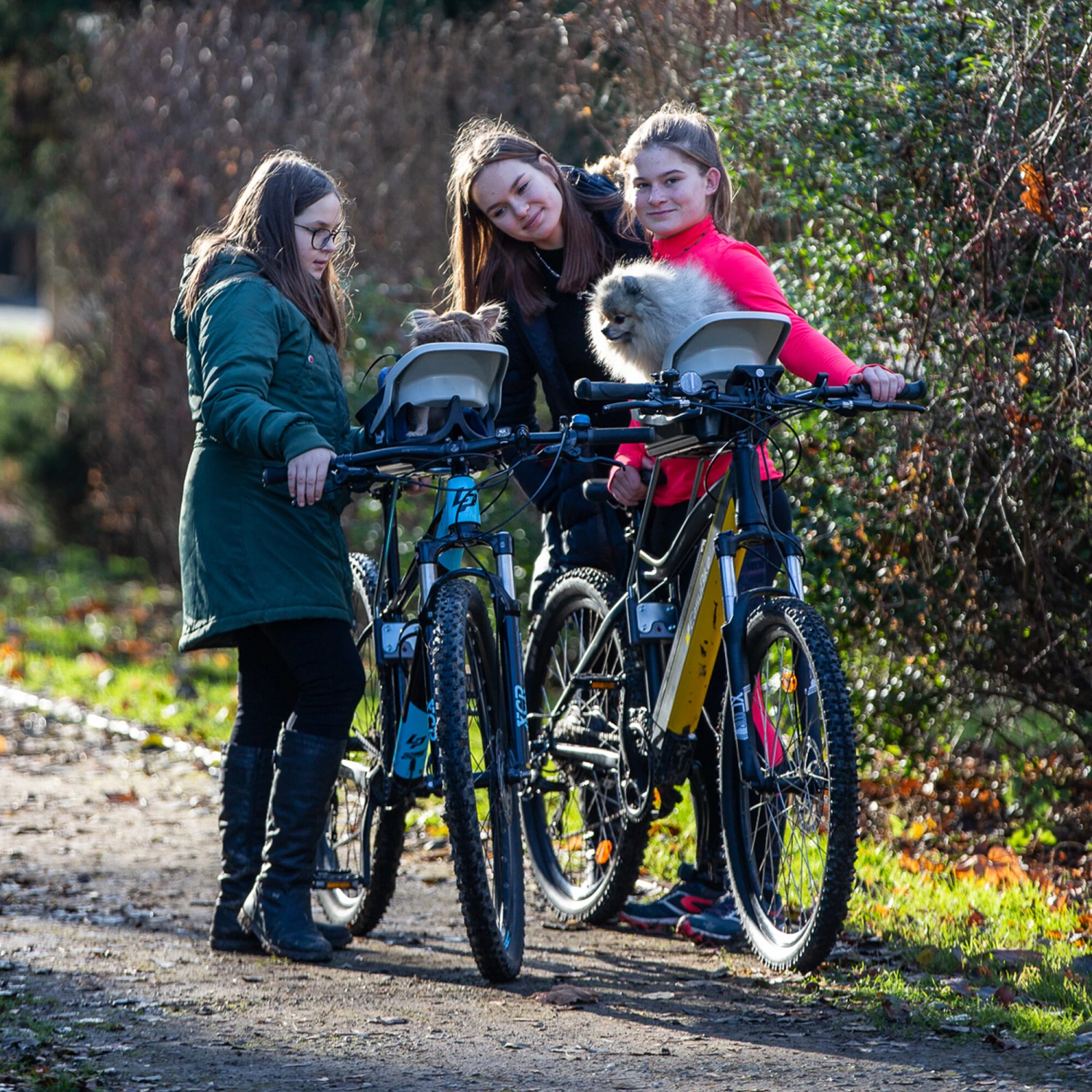 Dogrider Dog Seat + Mand - Grijs 8 Dogrider Dog Seat + Mand - Grijs - Afbeelding 6