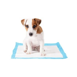 Duvo+ Puppy Pads -Hondenbenodigdheden Winkel duvo puppy pads 146015 1000 none