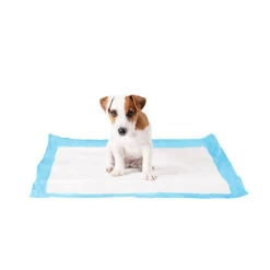 Duvo+ Puppy Pads -Hondenbenodigdheden Winkel duvo puppy pads large 50 stuks 108439 1000 none