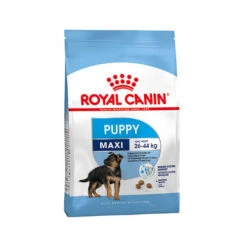 Royal Canin Maxi Puppy - Hondenvoer -Hondenbenodigdheden Winkel e47c448b8683569b016345f7cbe48c1595d30989b5b67c6de4dee69c47bff6de 3