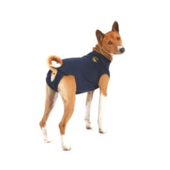 Medical Pet Shirt Hond 29 Medical Pet Shirt Hond -Hondenbenodigdheden Winkel e9afae337ec7d06c263cba8647918f4ce8e4647c234dca496bf40a63c9c8a90e 3