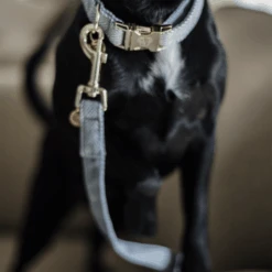 Kentucky Dogwear Hondenlijn Wool -Hondenbenodigdheden Winkel ejrjoyb8lNCNJUWqzyDtR4feCTIyNI metaS2VudHVja3ktRG9nd2Vhci1Ib25kZW5saWpuLVdvb2wtbGljaHRibGF1dy1kZXRhaWwucG5n