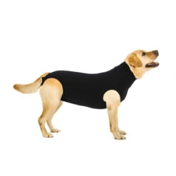 Suitical Recovery Suit Hond - Zwart -Hondenbenodigdheden Winkel fa0e13e2f13f2afe2f8a442d3d97741f85bfcf8eec1c0a1780b298b92bca02aa 3