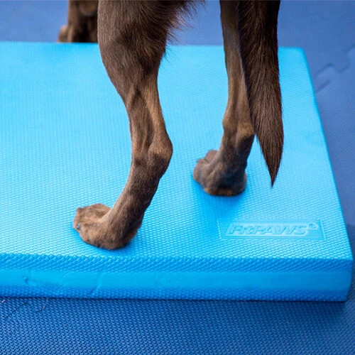 FitPAWS Balance Pad 6 FitPAWS Balance Pad - Afbeelding 4