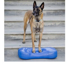 FitPAWS K9Fitbone -Hondenbenodigdheden Winkel fitpaws k9fitbone 109639 0500 none