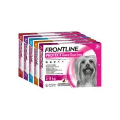 Frontline Protect Hond Spot On -Hondenbenodigdheden Winkel frontline protect hond spot on 192809 2000 none
