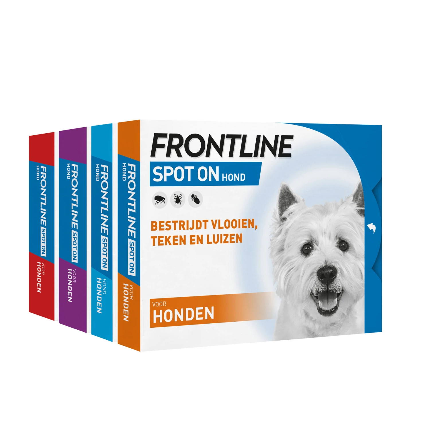 Frontline Spot On Hond 10 Frontline Spot On Hond - Afbeelding 8