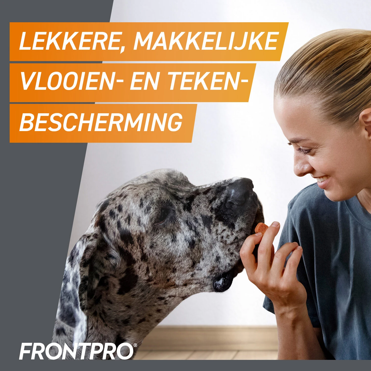 FRONTPRO Kauwtabletten Hond 22 FRONTPRO Kauwtabletten Hond - Afbeelding 20