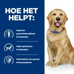 Hill's J/d Joint Care - Prescription Diet - Canine 10 Hill's J/d Joint Care - Prescription Diet - Canine -Hondenbenodigdheden Winkel hills jd joint care prescription diet canine 218018 2000 none