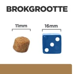 Hill's J/d Joint Care - Prescription Diet - Canine 11 Hill's J/d Joint Care - Prescription Diet - Canine -Hondenbenodigdheden Winkel hills jd joint care prescription diet canine 218020 2000 none