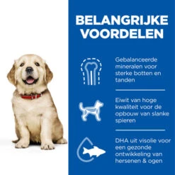 Hill's Science Plan - Large Puppy -Hondenbenodigdheden Winkel hills science plan puppy large chicken 218508 0500 none