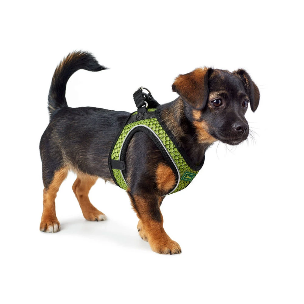 Hunter Hilo Comfort Harnas 20 Hunter Hilo Comfort Harnas - Afbeelding 18