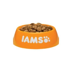 IAMS For Vitality Adult Large Breed Dog - Chicken -Hondenbenodigdheden Winkel iams adult large breed dog 133688 1000 none